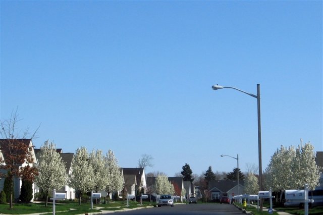 a5springtimeatheatherwood.jpg