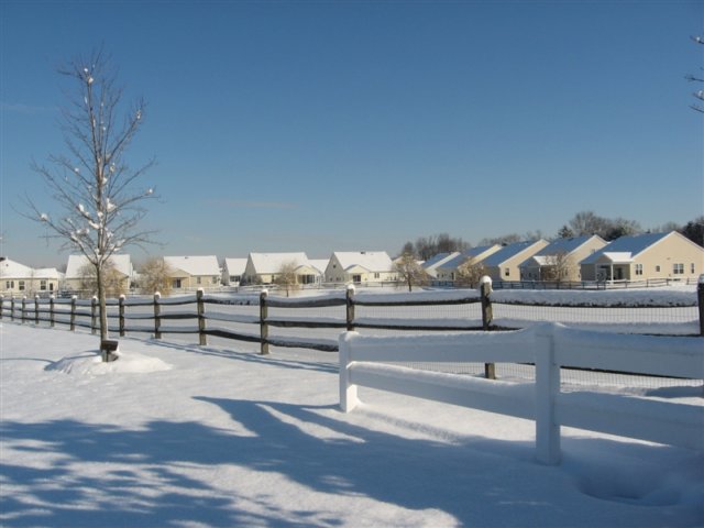 thepondinwinter.jpg